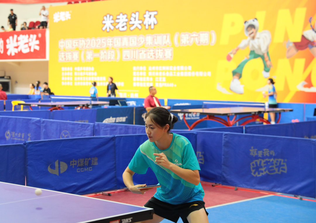 更是无数乒, msn 更是无数乒, msn